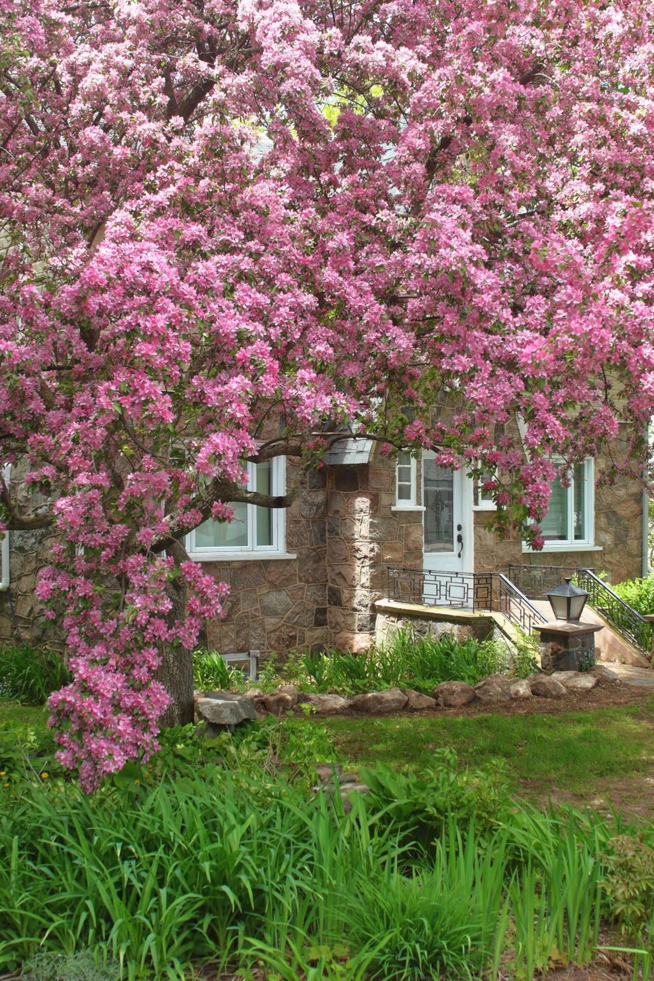 Rester Vivant Chambres D'Hotes Saint-Jean-Port-Joli Exterior photo